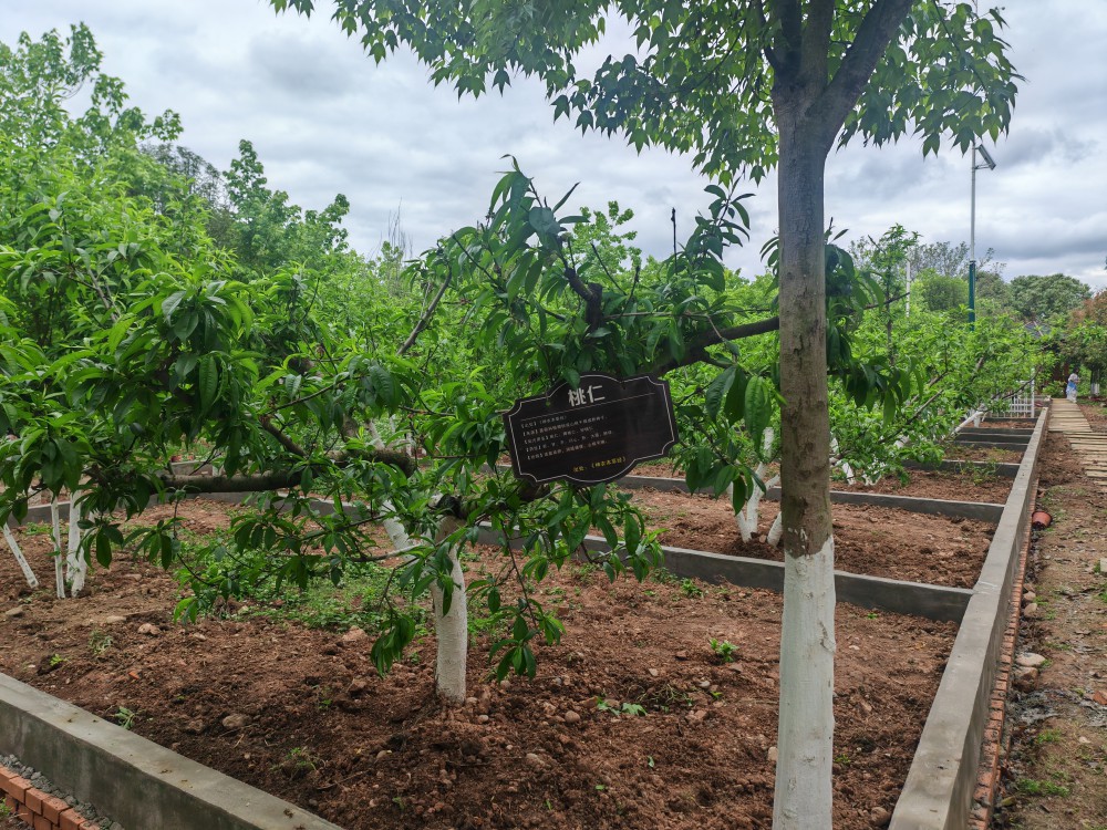 IMG_20260407_161448.jpg